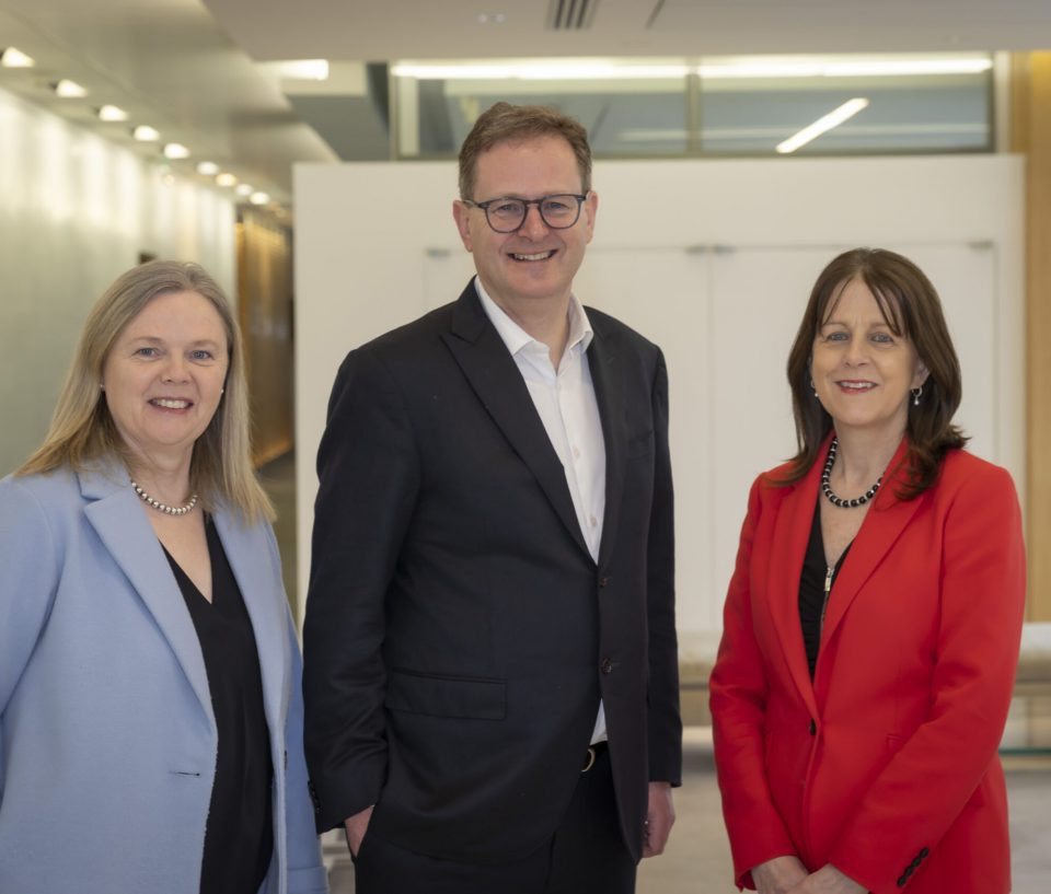 30% Ireland leadership plus sponsor 30% Ireland leadership plus sponsor